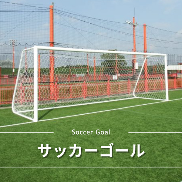 goal1109_grande.png?v=1750213700