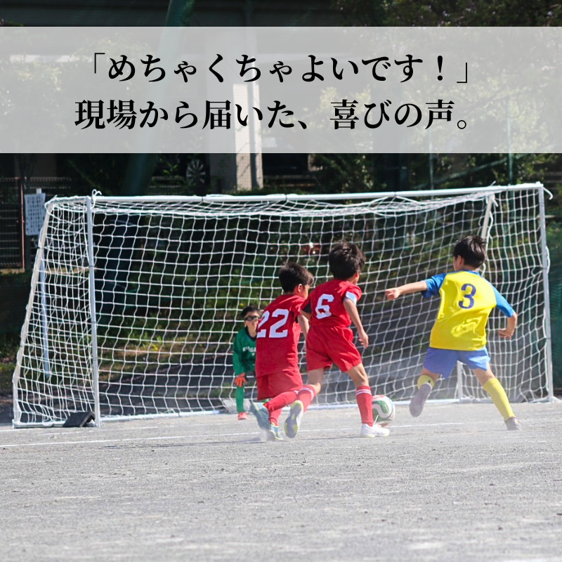 少年用サッカーゴール（アルミ製 22分割 ）通販:ファンタジスタゴール