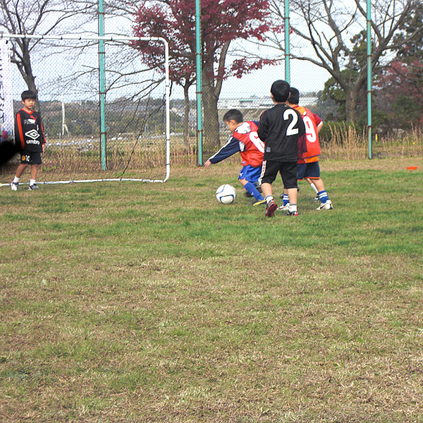 フットサルゴールSTM-046（ 2台）3mx2m 組み立て式 通販